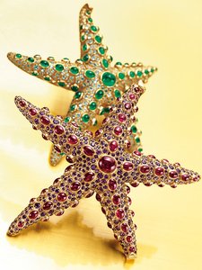 Kaksi Starfish rintakorua