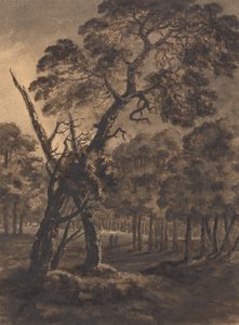 Metsäkohtaus tekijältä Rev. William Gilpin
