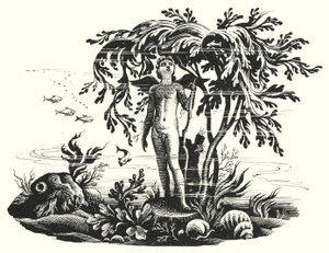 Hans Christian Andersen: Pieni merenneito (litho) tekijältä Rex (after) Whistler