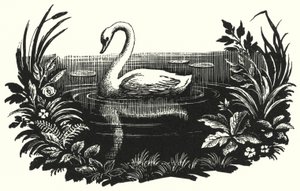 Hans Christian Andersen: Ruma ankanpoikanen (litho) tekijältä Rex (after) Whistler