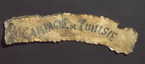 Ihmisen iho tatuoidulla tekstillä, ranska tekijältä John Pardon