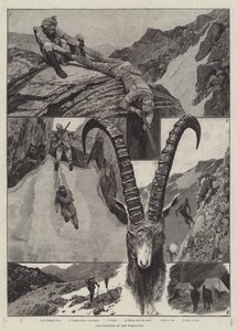 Ibex-Shooting in the Himalayas kaiverrus tekijältä Richard Caton Woodville junior