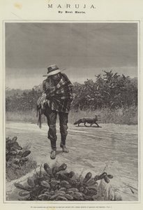 Maruja, kirjoittanut Bret Harte