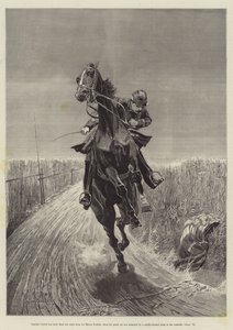 Maruja, kirjoittanut Bret Harte