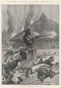 Nigerian avautuminen, retkikunta Aroja vastaan