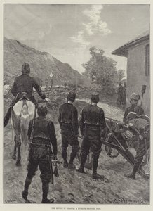 Kapina Albaniassa, Turkin rajaposti