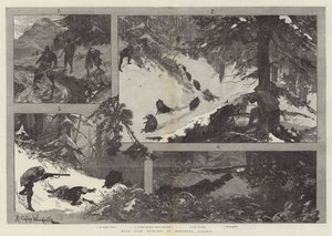 Villisian metsästys Pohjois-Albaniassa