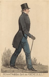 Sir Robert Thomas Wilson; Hyvä sotilas, mutta ei kenraali
