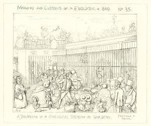 1849, Zoological Societyn puutarhojen mahdollisuus tekijältä Richard Doyle