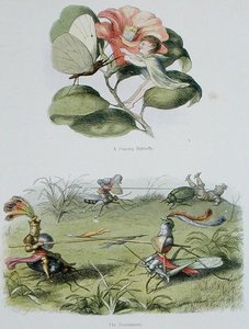 Tanssiva perhonen ja Turnaus, kuvituksia William Allinghamin ja Andrew Langin teoksesta "In Fairyland: A Series of Pictures from the Elf-World" (värilitho) tekijältä Richard Doyle