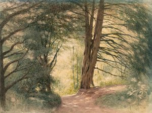 Box Hill, Surrey tekijältä Richard Doyle