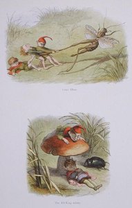 Julmat tontut ja Nukkuva tonttukuningas, kuvituksia teoksesta "In Fairyland: A Series of Pictures from the Elf-World", William Allingham ja Andrew Lang (värilitografia). tekijältä Richard Doyle