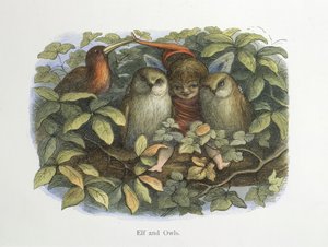 Tonttu ja pöllöt tekijältä Richard Doyle