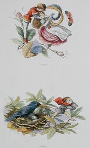 Flirttailu ja varastaminen, kuvituksia William Allinghamin ja Andrew Langin teoksesta "In Fairyland: A Series of Pictures from the Elf-World" (värilitho) tekijältä Richard Doyle
