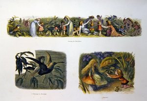 Keijujen maassa tekijältä Richard Doyle