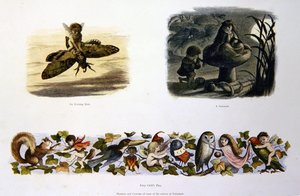 Keijumaassa tekijältä Richard Doyle
