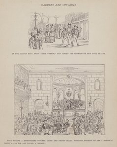 Sivu from The American Tour of Mrs. Brown, Jones and Robinson (kaiverrus) tekijältä Richard Doyle