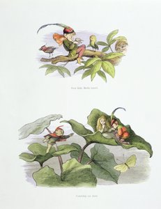 Köyhä pikku Birdie kiusoitteli ja Courtship lyhensi William Allinghamin ja Andrew Langin "In Fairyland: A Series of Pictures from the Elf-World" -kuvat. tekijältä Richard Doyle