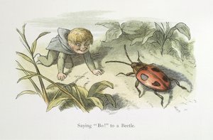 Sanoen Ei! kovakuoriaiselle tekijältä Richard Doyle
