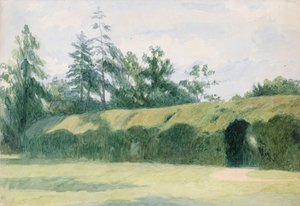 Headfort Housen marjakuusiparterri, Meathin kreivikunta tekijältä Richard Doyle