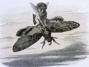 Un elfe chevauchant un papillon. Kuvitus Richard Doyle renkaasta ""Keijumaassa". Sarja kuvia tonttumaailmasta"" compagnee d