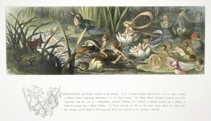 Vesililjat ja vesikeijut tekijältä Richard Doyle