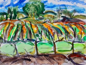 Autumn Vineyards, Napa, 2017 tekijältä Richard Fox