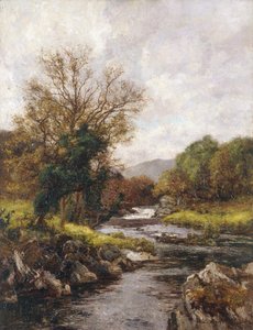 "Taimenvirta", 1868-1928 tekijältä Richard Gay Somerset
