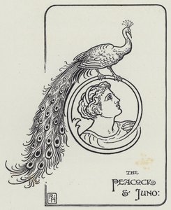 Peacock and Juno (kaiverrus)