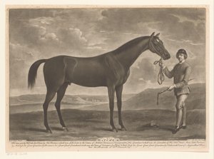 Racepaard tapasi jockeyn Matchem (otsikko objektissa)