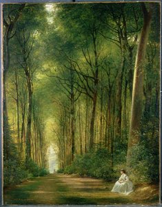 Beech Avenue, Denbies, 1870