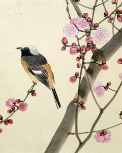 Lintu - Riou Chimin japanilainen piirros, 1800-luvun loppu tekijältä Riu Chim