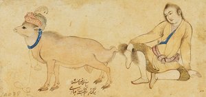 Tutkimus nuoresta miehestä ja oinasta, 1630-31 tai myöhemmin