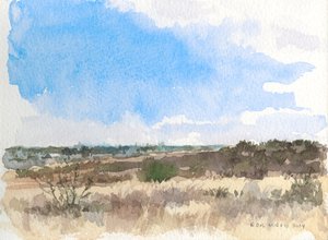 Talvi preerialla, 2014 (akvarelli paperille)