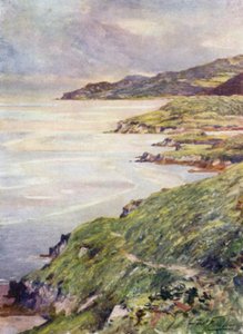 Lonely Shore, Barmouth Estuary (väri litho) tekijältä Robert (after) Fowler