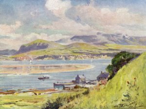 Carnarvon, Angleseystä (väri litho) tekijältä Robert (after) Fowler