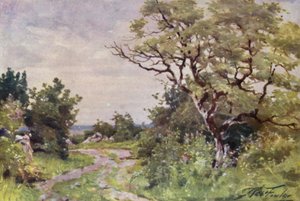 Field Path, lähellä Llanrugia (väri litho)