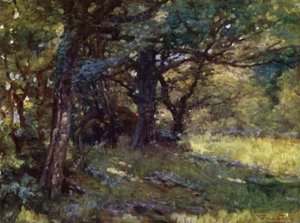 Metsässä, Berwyn (väri litho)