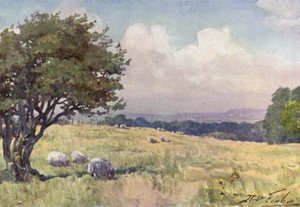 Sunny Field, lähellä Llanberis (väri litho) tekijältä Robert (after) Fowler