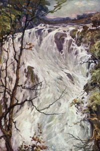 Swallow Falls, Bettws-y-Coed (väri litho) tekijältä Robert (after) Fowler