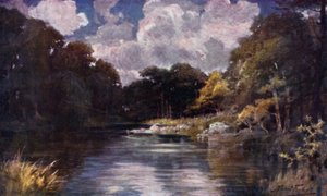 Trout Stream (värinen lito)