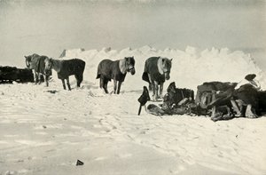 Ponit suojansa takana leirillä barrierilla, 1911, 1913