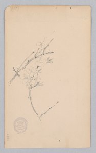 Oksa tekijältä Robert Frederick Blum