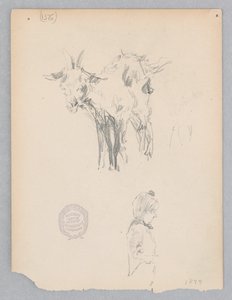 Vuohi tekijältä Robert Frederick Blum