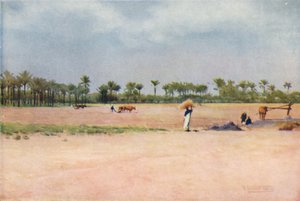 Esbet-El-Ekiad - Goshenin maa, c1880, 1904