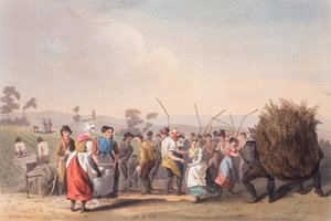 Raiskin puinti, 1.11.1813 tekijältä Robert Havell