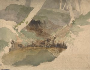 Metsän allas tekijältä Robert Hills