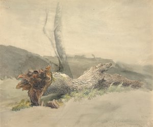 Kaatunut puu tekijältä Robert Hills