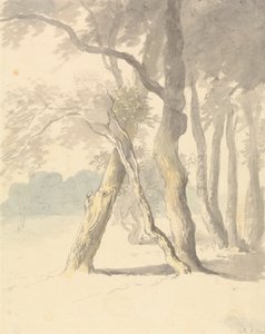Woodland Study tekijältä Robert Hills