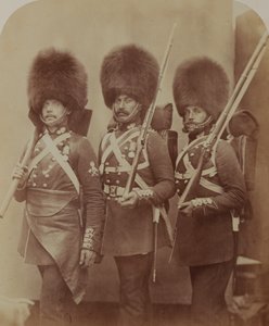 Pioneer Manners ja vartijat Webster ja Lemmen, Grenadier Guards tekijältä Robert Howlett
